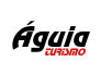 Águia Turismo